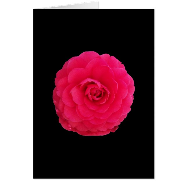 Cartão Camellia Rosa Brilhante (Frente)