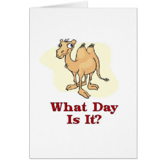 Cartão Camelo - que dia é ele?