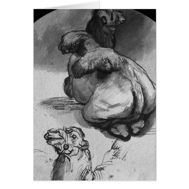 Cartão Camelos (Frente)