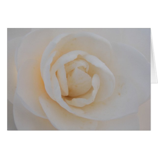 Cartão Camilla Bliss (Frente Horizontal)