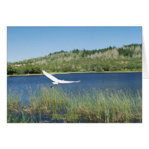 Cartão Caminhada ao lago