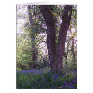 Cartão Caminhada do Bluebell