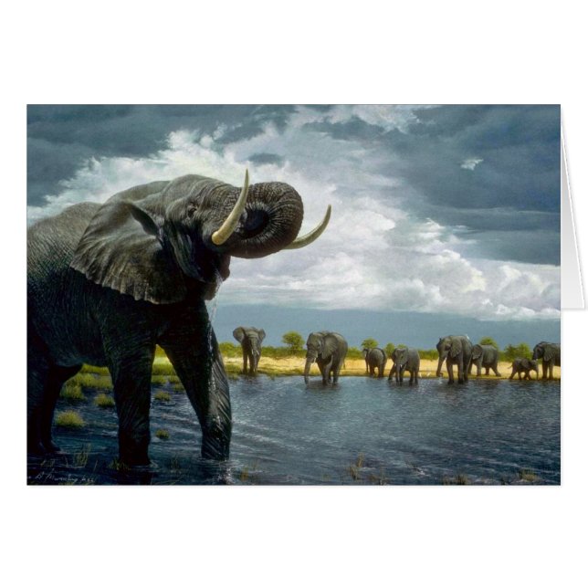 Cartão Caminhada do elefante (Frente Horizontal)