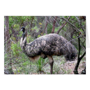 Cartão caminhada emu