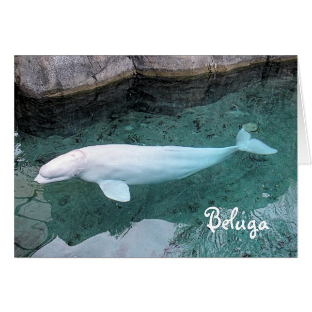 Cartão Caminhada no lado selvagem (Frente Horizontal)