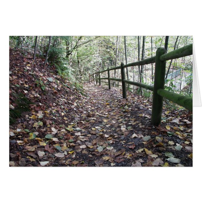 Cartão Caminhada no parque (Frente Horizontal)