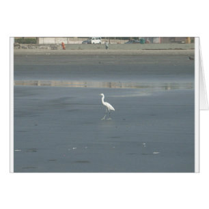 Cartão Caminhando solo.JPG