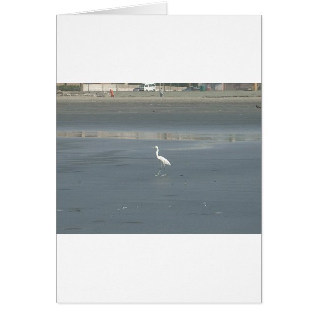 Cartão Caminhando solo.JPG (Frente)