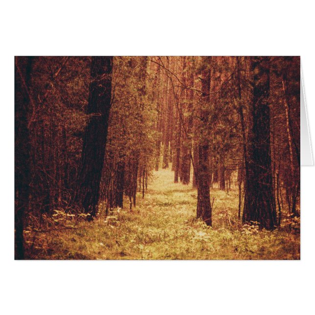 Cartão Caminho da Floresta... (Frente Horizontal)