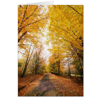 Cartão Caminho de Caminho da Folhagem de outono