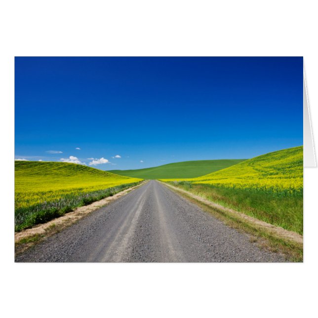 Cartão Caminho de sertão através dos Campos de Primavera  (Frente Horizontal)