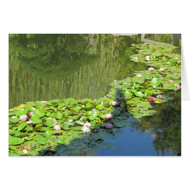 Cartão Caminho do Lotus (Frente horizontal)