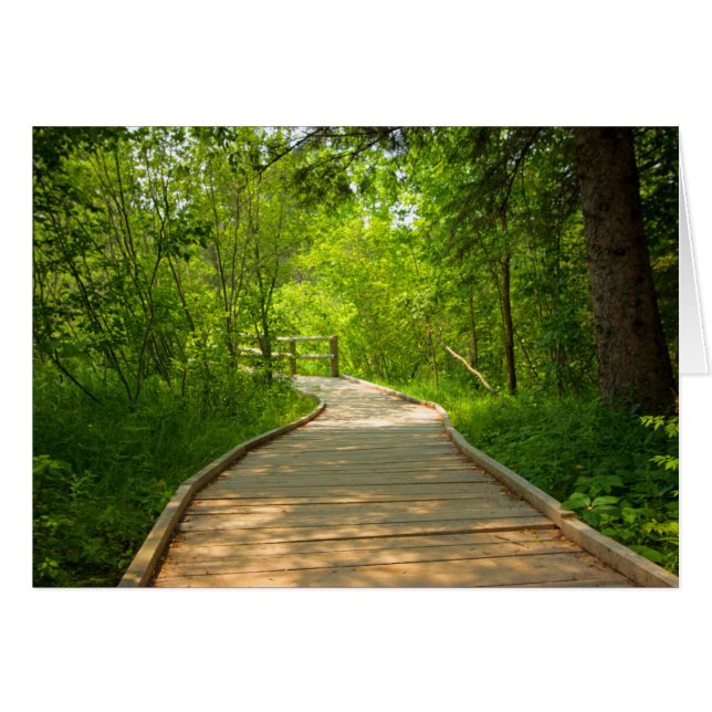 Cartão Caminho em árvore (Frente horizontal)