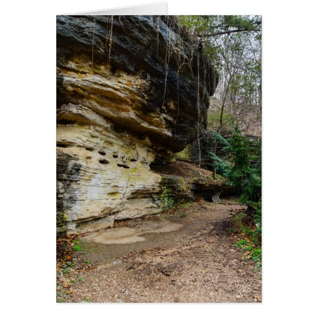 Cartão Caminho Linhado do Bluff (Frente)