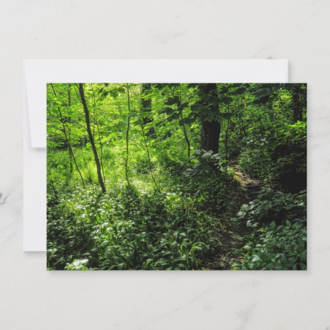 Cartão Caminho na floresta (Frente)