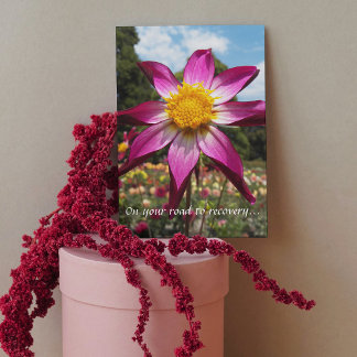 Cartão Caminho para a recuperação de Dahlia Floral rosa