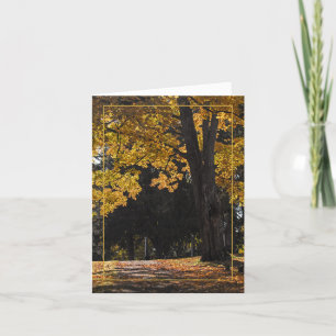 Cartão Caminho para o conforto