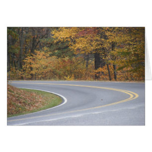 Cartão Caminhos da vida