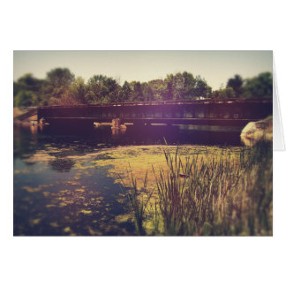 Cartão Caminhos De Comboio Em Todo O Rio