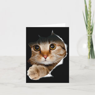 Cartão Camisa de Gato Presentes Divertidos para Homens Am