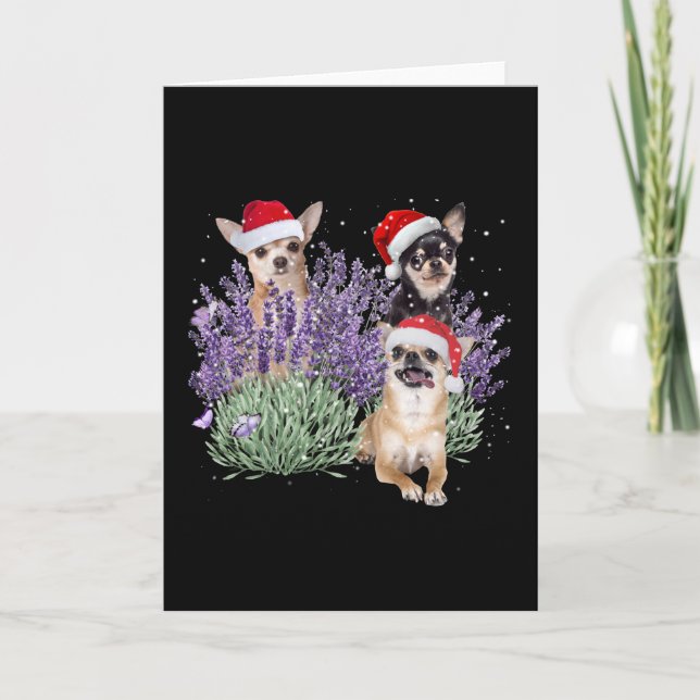 Cartão Camisa de Natal Flor de Lavanda de Chihuahua Chihu (Frente)