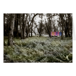 Cartão Camisas em uma Placa Florestal Inundável