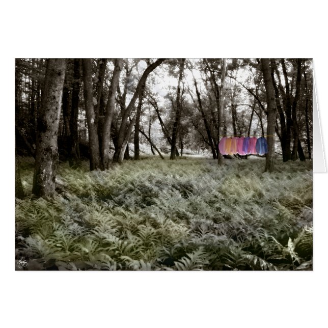 Cartão Camisas em uma Placa Florestal Inundável (Frente Horizontal)