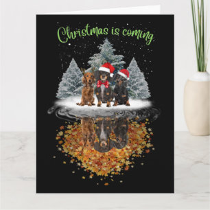 Cartão Camiseta Gráfica de Cachorro Dachshund Natal Está 