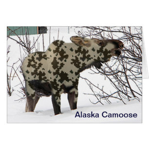 Cartão Camouflage Moose (Camoose)