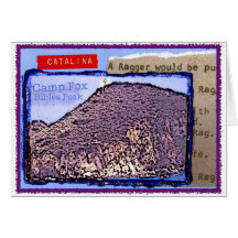 Camp Fox: Bíblias Pico com Música Ragger