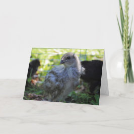 Cartão Campainha Azul