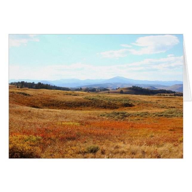 Cartão Campo castanho-aloirado de Yellowstone (Frente Horizontal)