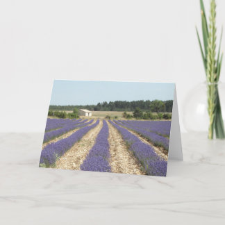 Cartão Campo da lavanda em Provence