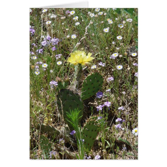 Cartão Campo das flores (Frente)