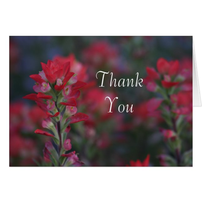 Cartão campo das flores vermelhas Obrigado (Frente Horizontal)