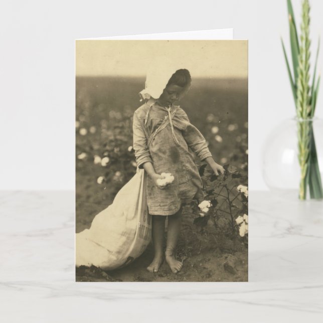 Cartão Campo de algodão (Frente)