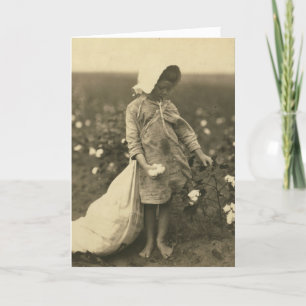 Cartão Campo de algodão