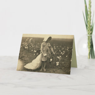 Cartão Campo de algodão