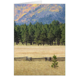 Cartão Campo de Flagstaff Colorido