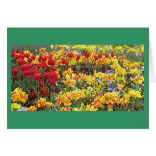 Cartão Campo de flores do primavera