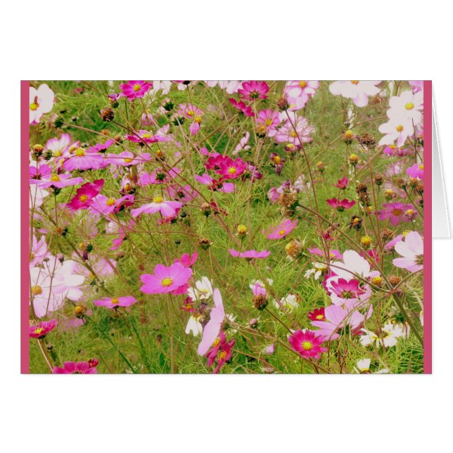 Cartão Campo De Flores Rosa (Frente Horizontal)