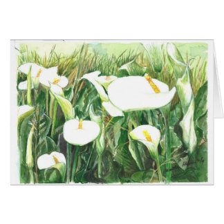 Cartão Campo de lírios de Calle