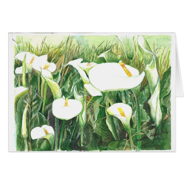 Cartão Campo de lírios de Calle (Frente Horizontal)