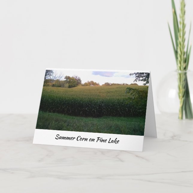 Cartão Campo de milho de verão na South Drive, Pine Lake (Frente)