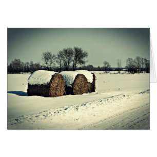 Cartão Campo de neve