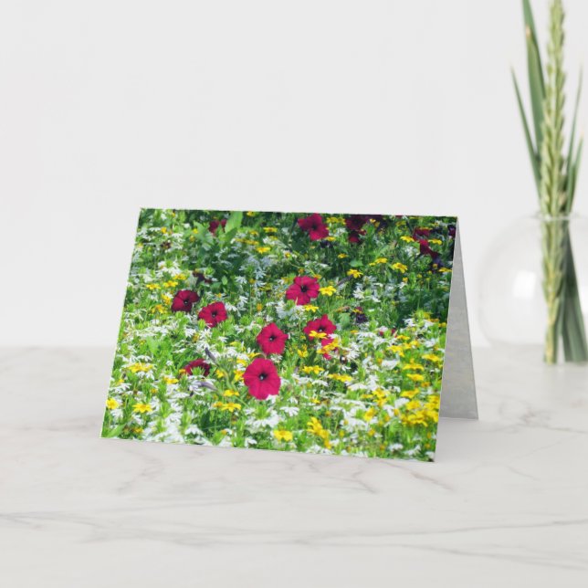 Cartão Campo de Sonhos (Frente)