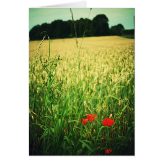 Cartão Campo de trigo - Alemanha