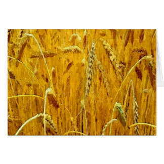 Cartão Campo de trigo amarelo