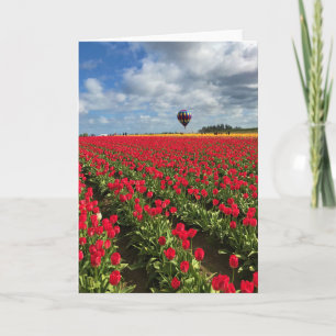 Cartão Campo de Tulipas Vermelhas com Balão de Ar Quente