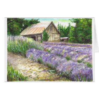 Cartão Campo Lavendor